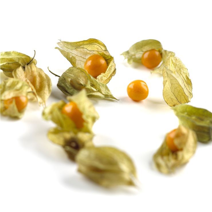 Picture Of Chinese Culinary Deserts Physalis